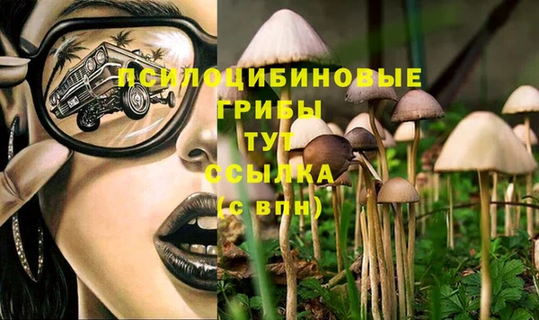 герыч Алексеевка