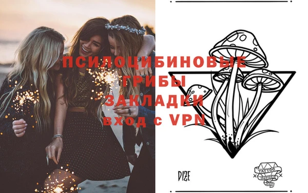 a pvp Алзамай