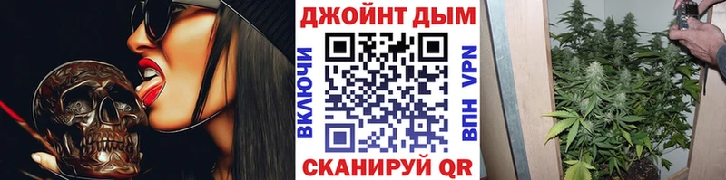 Каннабис семена  сайты даркнета какой сайт  Ковылкино 